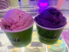 -Dooley's Premium Ice Cream