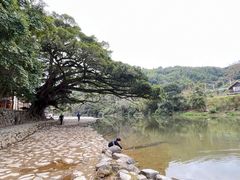 -云水谣景区