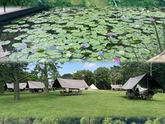 -云溪植物园