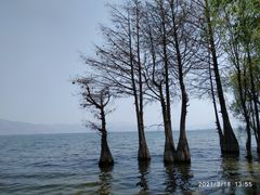 -大理洱海