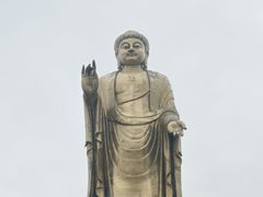 -中原大佛景区