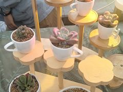 -轻蔬不用等·素食(江苏路店)