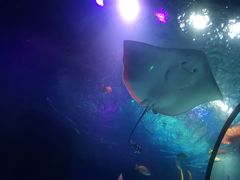 -沈阳海洋探索中心