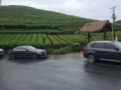 -听风阁农家私房菜茶楼(龙坞店)