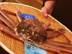 -橼舍鮨青木