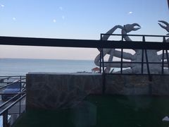 -蟹之国·精品蟹料理(极地店)