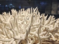 -天津自然博物馆