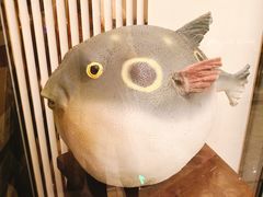 -肆月河豚·新淮扬(金融街店)