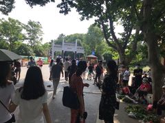 -东湖落雁景区