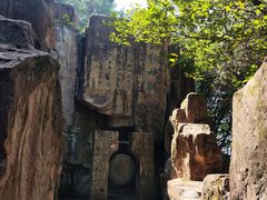 -铁山坪森林公园