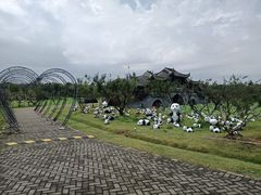 -上海海湾国家森林公园