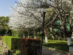 -昆山城市公园
