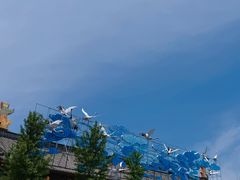 -横店影视城梦幻谷园区