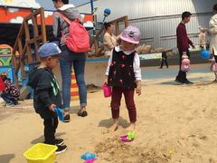 -烟台海昌鲸鲨海洋公园