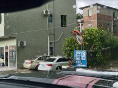 -香竹农庄•传统竹筒饭(十年店)