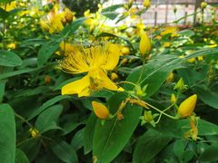 -大润发杨浦店-停车场