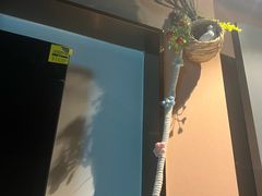 -蓉府金足印象(德阳珠江桥店)