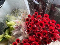 -循礼门鲜花花市(武汉循礼门店)