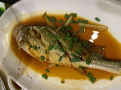 -红灯笼龙凤饭店(宁波老字号店)