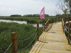 -白渔泡湿地公园