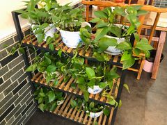 -灵福缘私房菜·农家菜(拈花湾·灵山大佛必推店)