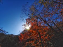 -光雾山旅游景区