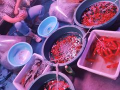 -中环花鸟鱼虫市场