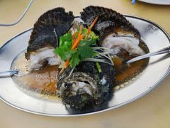 -马达京岛