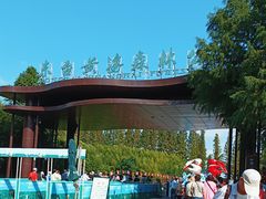 -黄海国家森林公园