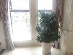 -昆明梦想医疗美容医院