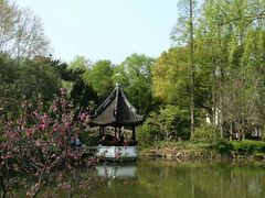 -上海醉白池公园