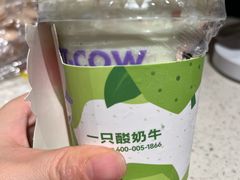 -一只酸奶牛(时代天街A馆店)