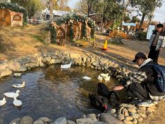 -HERRE·FARM 赫尔露营农场·团建聚会包场