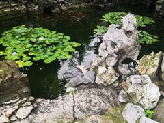 -绮园景区