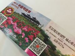 -扬州芍药园(仪征市)