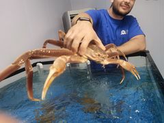 -第35届青岛国际啤酒节