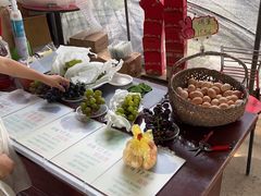 -马陆小张葡萄园农家乐