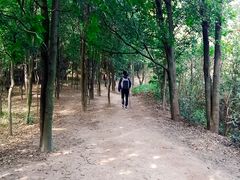 -火炉山森林公园