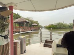 -大湾区中央湿地公园