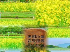 -光明小镇欢乐田园