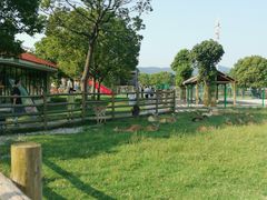 -苏州太湖西山岛开心农场