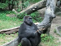 -哈尔滨北方森林动物园