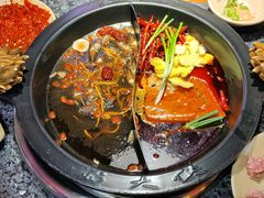 -蜀大侠火锅(总府路店)