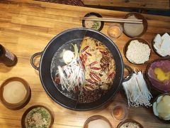 -阳阳老火锅(小南门店)