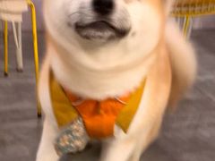 -五进制 Coffee Shop