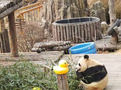 -大连森林动物园