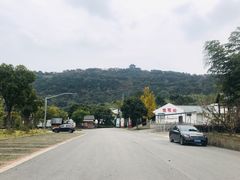 -呼吸森林·生态农庄农家乐私房菜