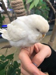 -未来动物城主题公园(正弘城店)
