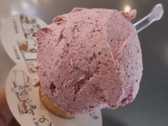 杨梅冰淇淋-野人牧坊Gelato(天津南开大悦城店)