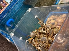 -曼格活海鲜·牛排自助(光明蓝鲸店)